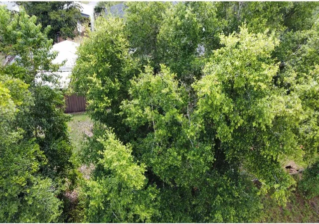 Photo 4 of Land for sale at 00 West Hwy 40, Dunnellon, FL 34431 | MLS# TB8315658 | Listing updated on 2026-04-20
