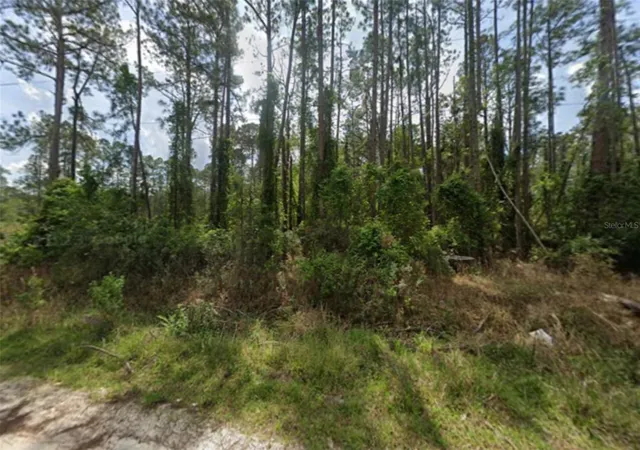 Photo 1 of Land for sale at 105 Pine Cone Dr, Georgetown, FL 32139 | MLS# FC304823 | Listing updated on 2026-03-25