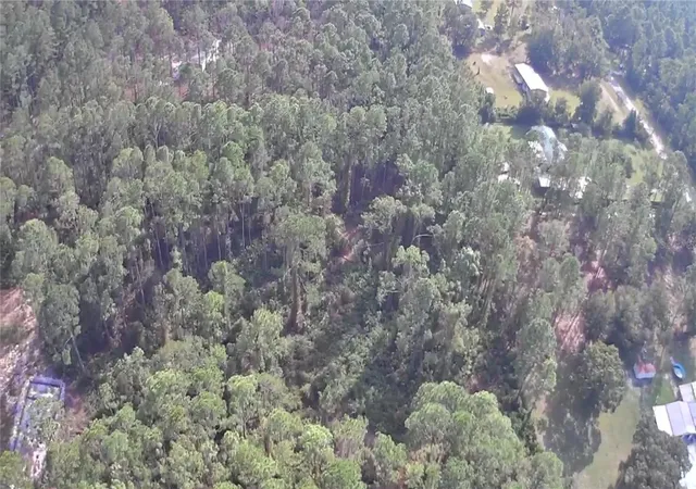 Photo 3 of Land for sale at 105 Pine Cone Dr, Georgetown, FL 32139 | MLS# FC304823 | Listing updated on 2026-03-25