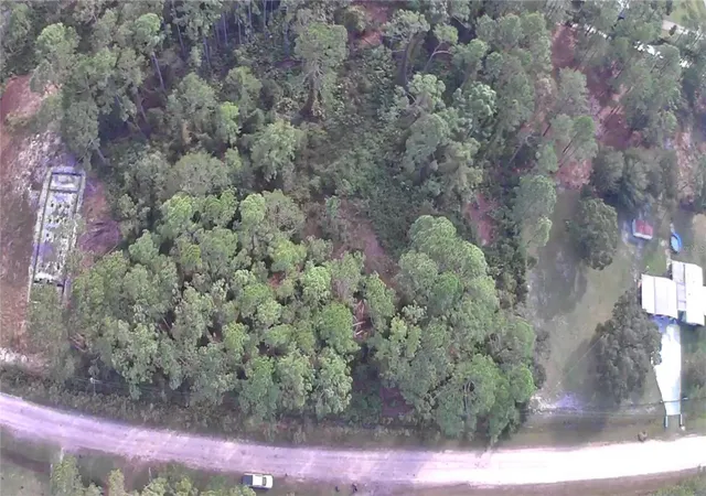 Photo 4 of Land for sale at 105 Pine Cone Dr, Georgetown, FL 32139 | MLS# FC304823 | Listing updated on 2026-03-25