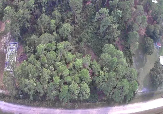 Photo 5 of Land for sale at 105 Pine Cone Dr, Georgetown, FL 32139 | MLS# FC304823 | Listing updated on 2026-03-25