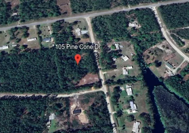 Photo 8 of Land for sale at 105 Pine Cone Dr, Georgetown, FL 32139 | MLS# FC304823 | Listing updated on 2026-03-25