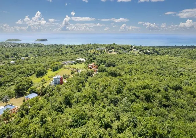 Photo 3 of Land for sale at Lot 4 (b6) La Llave, Vieques, PR 00765 | MLS# PR9109777 | Listing updated on 2025-10-22