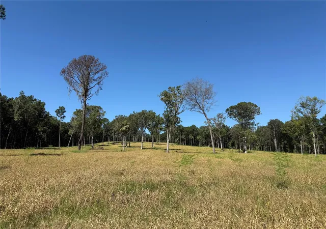 Photo 1 of Land for sale at 62ac Nw 193rd Street, Micanopy, FL 32667 | MLS# OM688556 | Listing updated on 2026-01-13