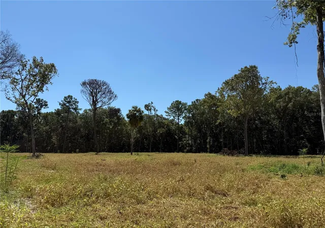 Photo 2 of Land for sale at 62ac Nw 193rd Street, Micanopy, FL 32667 | MLS# OM688556 | Listing updated on 2026-01-13