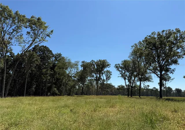 Photo 3 of Land for sale at 62ac Nw 193rd Street, Micanopy, FL 32667 | MLS# OM688556 | Listing updated on 2026-01-13