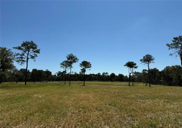 Photo 3 of Land for sale at 62ac NW 193rd Street, Micanopy, FL 32667 | MLS# OM688556 | Listing updated on 2026-01-13