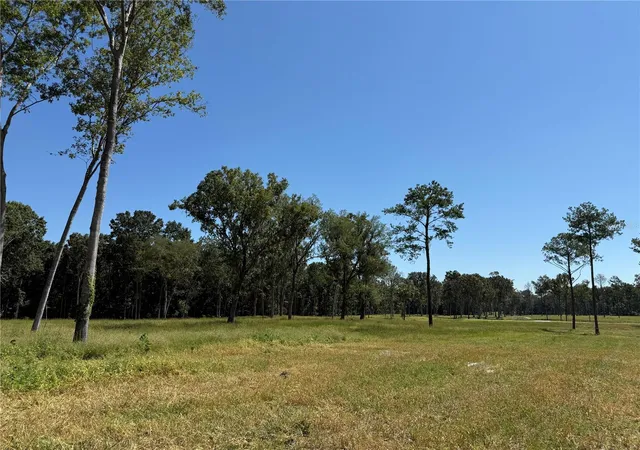 Photo 4 of Land for sale at 62ac NW 193rd Street, Micanopy, FL 32667 | MLS# OM688556 | Listing updated on 2026-01-13