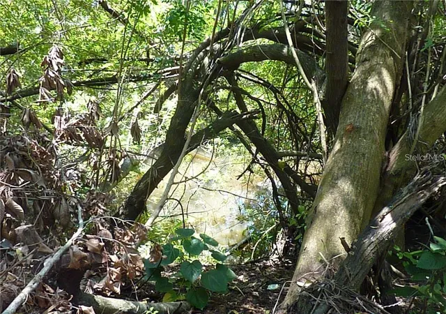 Photo 3 of Land for sale at Manati Ave, North Port, FL 34287 | MLS# TB8317842 | Listing updated on 2026-09-26