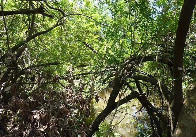 Photo 4 of Land for sale at Manati Ave, North Port, FL 34287 | MLS# TB8317842 | Listing updated on 2026-09-26
