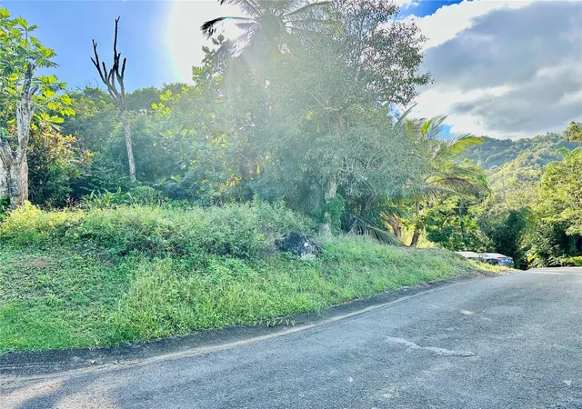 Homes for sale in Carolina, PR | Road 185 Barrio Cedros Road 185 Barrio Cedros, Carolina, PR 00987 | MLS# PR9109904