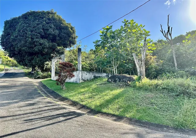 Homes for sale in Carolina, PR | Road 185 Barrio Cedros Road 185 Barrio Cedros, Carolina, PR 00987 | MLS# PR9109904