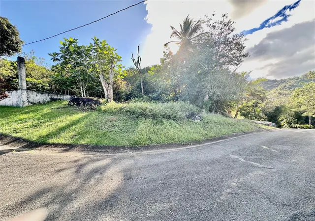 Homes for sale in Carolina, PR | Road 185 Barrio Cedros Road 185 Barrio Cedros, Carolina, PR 00987 | MLS# PR9109904