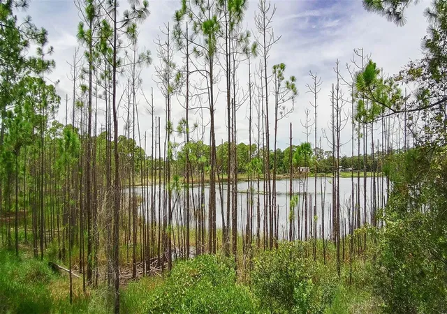 Photo 2 of Land for sale at (Undisclosed), Deltona, FL 32738 | MLS# V4939261 | Listing updated on 2026-05-12