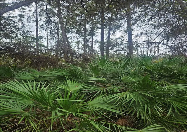 Photo 4 of Land for sale at (Undisclosed), Deltona, FL 32738 | MLS# V4939261 | Listing updated on 2026-05-12