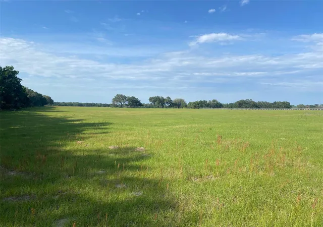 Land for sale at 0 NW 163 Terrace, MORRISTON, FL 32668 | MLS# OM689050