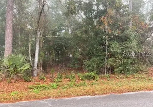 1st image of 0 Se 99th Ave, Belleview, FL 34420 | MLS# O6255485