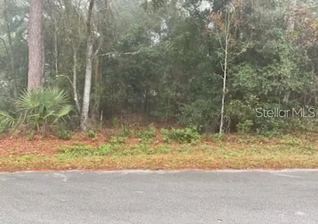 2nd image of 0 Se 99th Ave, Belleview, FL 34420 | MLS# O6255485