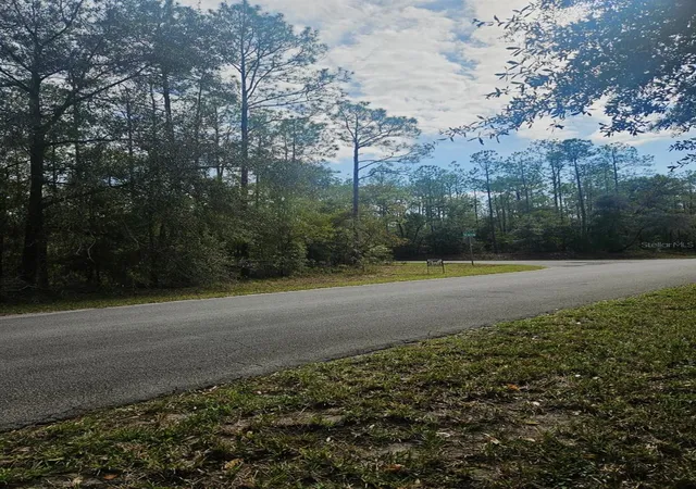 Photo 4 of Land for sale at Southwest 206th Ct Rd, Dunnellon, FL 34431 | MLS# S5115141 | Listing updated on 2026-07-20