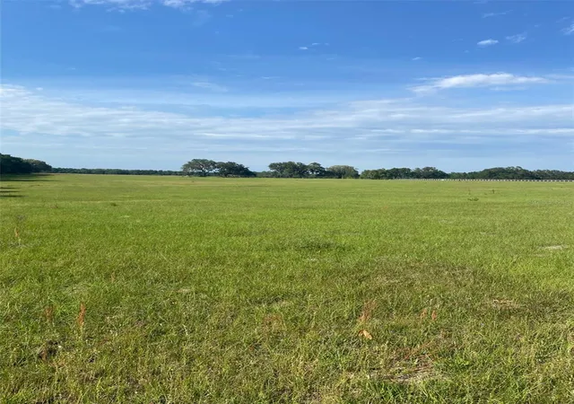 1st image of 0 Nw 163 Ter, Morriston, FL 32668 | MLS# OM689078