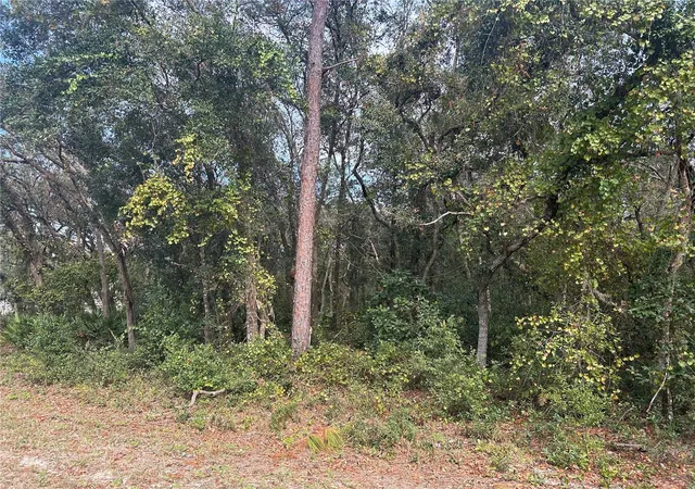 Homes for sale in Webster, FL | 9114 Realstone Dr, Webster, FL 33597 | MLS# G5089189