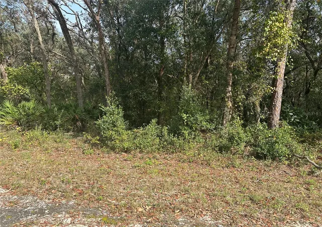 Homes for sale in Webster, FL | 9114 Realstone Dr, Webster, FL 33597 | MLS# G5089189