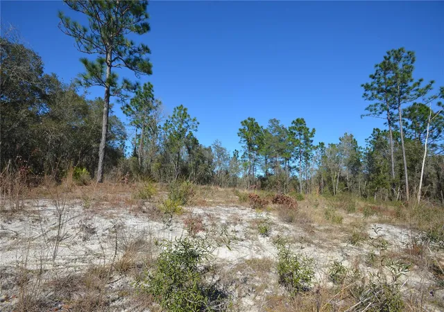 Photo 1 of Land for sale at Sw 144 Place, Ocala, FL 34473 | MLS# OM689378 | Listing updated on 2026-07-08