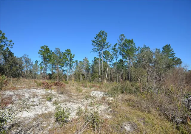Photo 3 of Land for sale at SW 144 Place, Ocala, FL 34473 | MLS# OM689378 | Listing updated on 2026-07-08