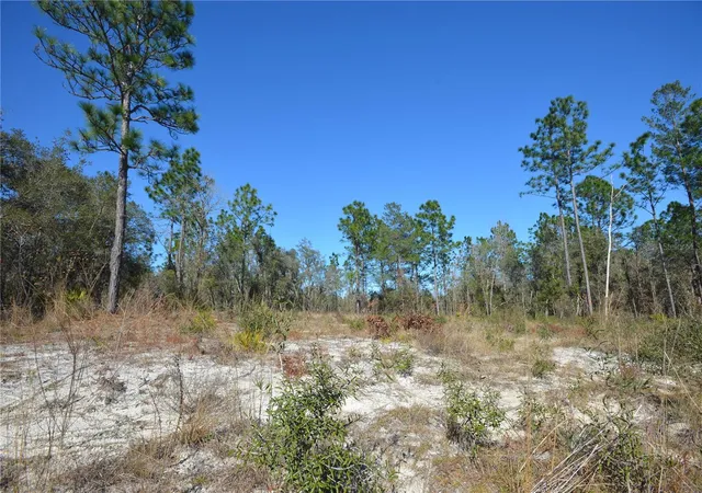 Photo 4 of Land for sale at SW 144 Place, Ocala, FL 34473 | MLS# OM689378 | Listing updated on 2026-07-08