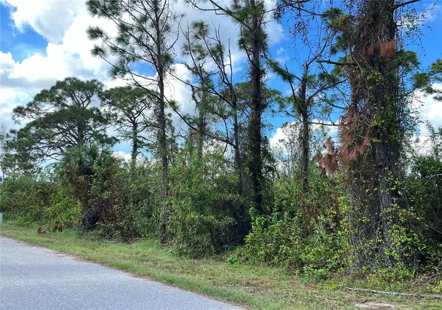 Photo 2 of Land for sale at 12438 Deepwoods Ave, Port Charlotte, FL 33981 | MLS# C7500283 | Listing updated on 2026-06-09