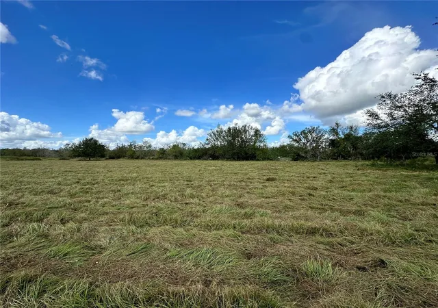 Photo 2 of Land for sale at Wauchula Rd, Myakka City, FL 34251 | MLS# A4628849 | Listing updated on 2026-08-06