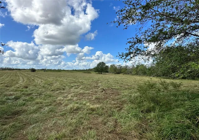 Photo 3 of Land for sale at Wauchula Rd, Myakka City, FL 34251 | MLS# A4628849 | Listing updated on 2026-08-06