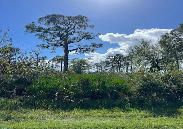 Photo 1 of Land for sale at 13100 Eleanor Ave, Port Charlotte, FL 33953 | MLS# C7500347 | Listing updated on 2026-09-19