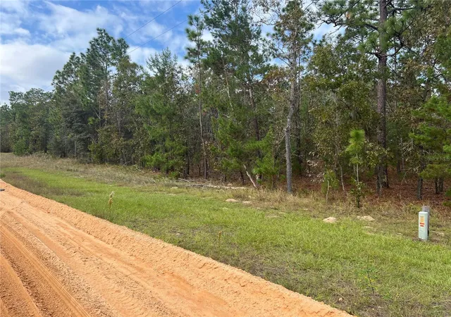 Photo 2 of Land for sale at 255 Melrose Landing Dr, Hawthorne, FL 32640 | MLS# GC526240 | Listing updated on 2026-08-07