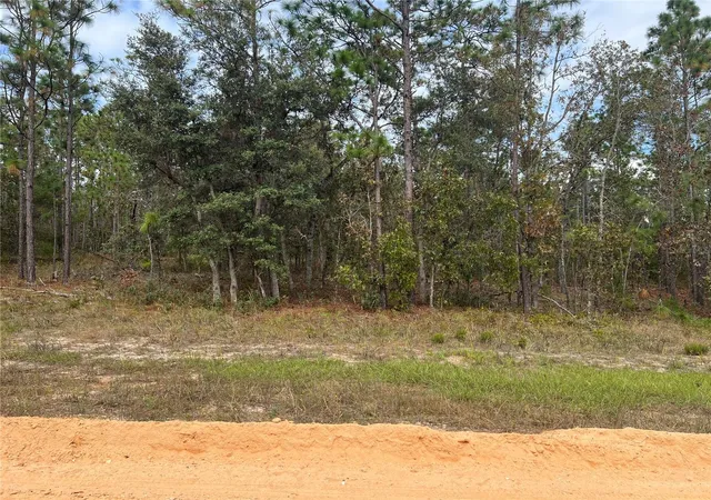 Photo 3 of Land for sale at 255 Melrose Landing Dr, Hawthorne, FL 32640 | MLS# GC526240 | Listing updated on 2026-08-07