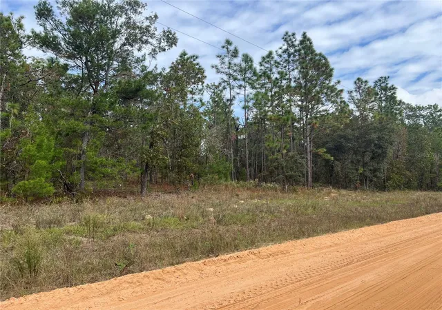 Photo 4 of Land for sale at 255 Melrose Landing Dr, Hawthorne, FL 32640 | MLS# GC526240 | Listing updated on 2026-08-07