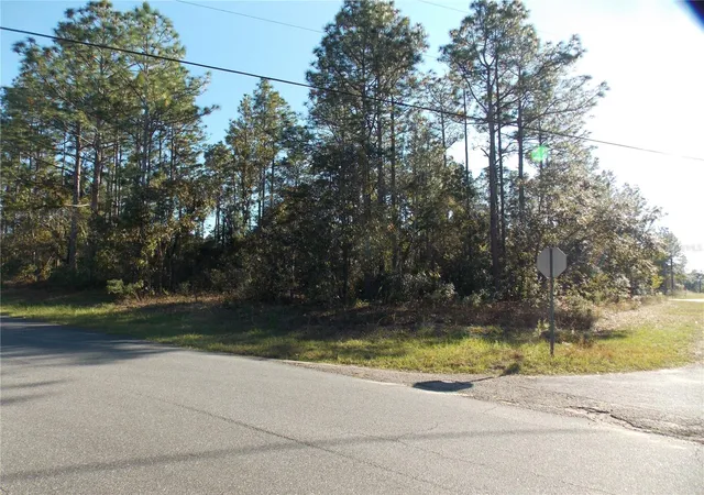 Photo 1 of Land for sale at 9432 N Cherry Lake Dr, Citrus Springs, FL 34433 | MLS# OM689611 | Listing updated on 2026-01-14
