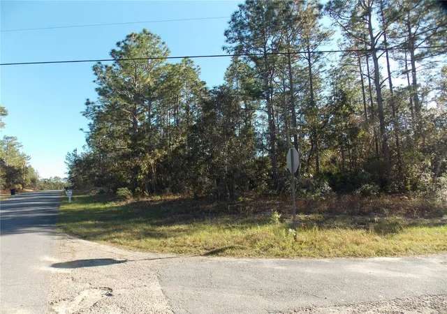 Photo 2 of Land for sale at 9432 N Cherry Lake Dr, Citrus Springs, FL 34433 | MLS# OM689611 | Listing updated on 2026-01-14