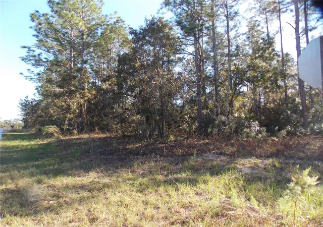Photo 3 of Land for sale at 9432 N Cherry Lake Dr, Citrus Springs, FL 34433 | MLS# OM689611 | Listing updated on 2026-01-14