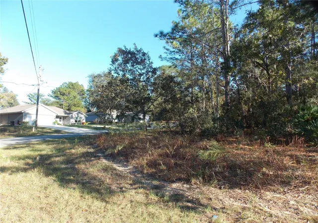 Photo 3 of Land for sale at 9432 N Cherry Lake Dr, Citrus Springs, FL 34433 | MLS# OM689611 | Listing updated on 2026-01-14