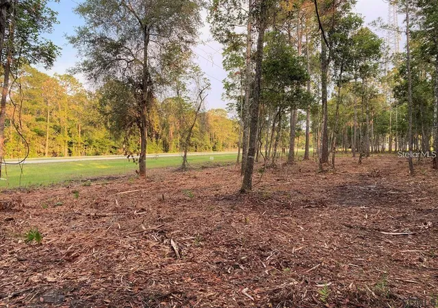 1st image of 53xx Us Hwy 1 N, Bunnell, FL 32110 | MLS# FC305280