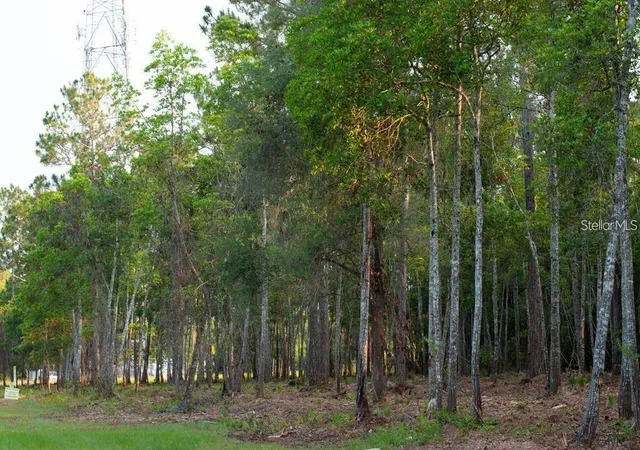 2nd image of 53xx Us Hwy 1 N, Bunnell, FL 32110 | MLS# FC305280
