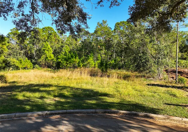 2nd image of 7161 Oak Glen Trl, Saint Cloud, FL 34773 | MLS# S5115858