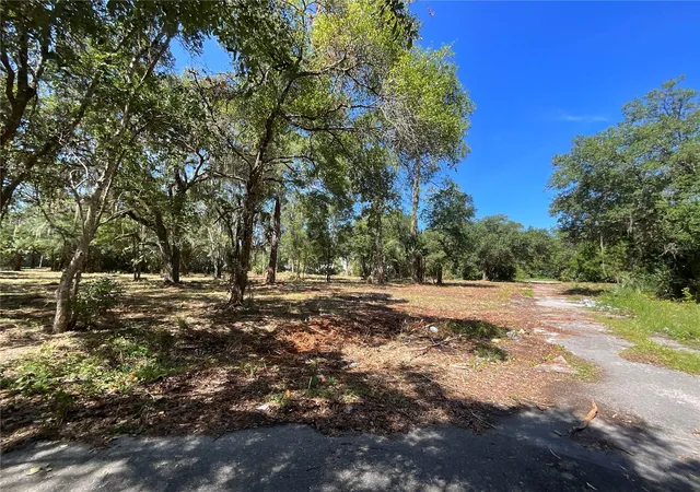 Photo 3 of Land for sale at 2330 E University Ave, Gainesville, FL 32641 | MLS# G5089792 | Listing updated on 2026-08-02