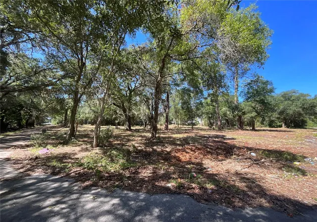 Photo 4 of Land for sale at 2330 E University Ave, Gainesville, FL 32641 | MLS# G5089792 | Listing updated on 2026-08-02