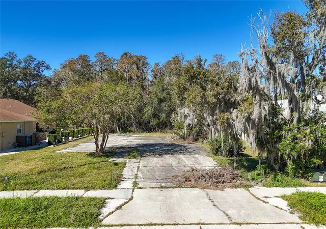 3rd image of 1323 Baythorn Dr, Wesley Chapel, FL 33543 | MLS# TB8324900
