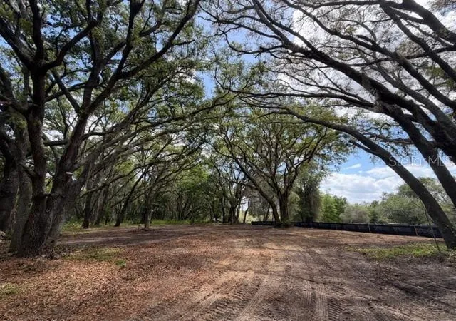 Photo 5 of Land for sale at 17144 Phil C Peters Rd, Winter Garden, FL 34787 | MLS# O6260547 | Listing updated on 2026-04-16