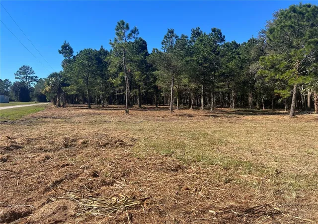 Land for sale at 17802 Us-301, WALDO, FL 32694 | MLS# GC526686