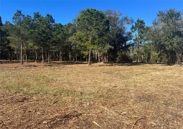 Photo 4 of Land for sale at 17802 Us-301, Waldo, FL 32694 | MLS# GC526686 | Listing updated on 2025-11-18