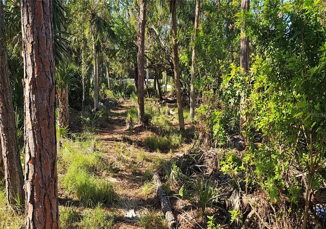 Photo 3 of Land for sale at 6394 Mckinley Ter, Englewood, FL 34224 | MLS# A4631549 | Listing updated on 2026-02-01